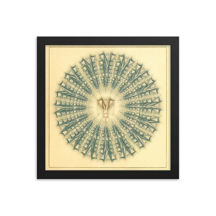 "Mandala Squid" : An Intricate Dance of Marine Elegance and Symmetry - FUSION ARTISTERO