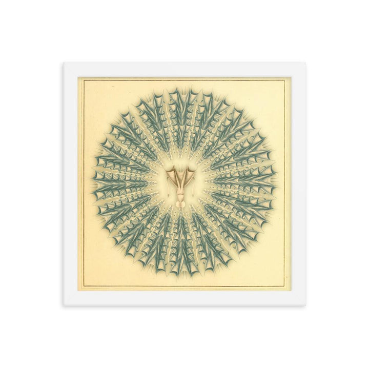 "Mandala Squid" : An Intricate Dance of Marine Elegance and Symmetry - FUSION ARTISTERO